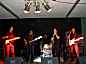 band, lions, bild