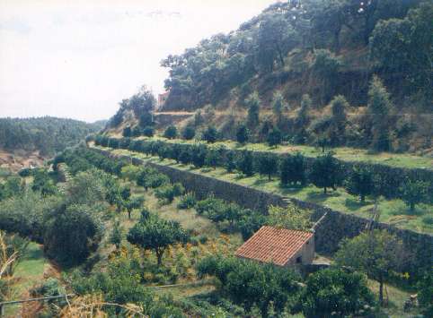 Bebaute Steilhänge im Landesinneren auf dem Weg nach Monchique.