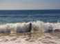 ingo trautwein, baden, schwimmen, tauchen, strand, sand, meer, wind, wasser, wellen, atlantik, praia de amado, carrapateira